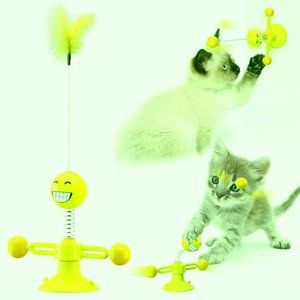 nteractive Cat Ball & Feather for Indoor Cats